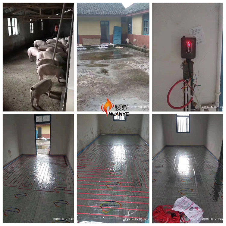 <a href='/txwddn/zsddn.html'>猪舍电地暖</a>厂家